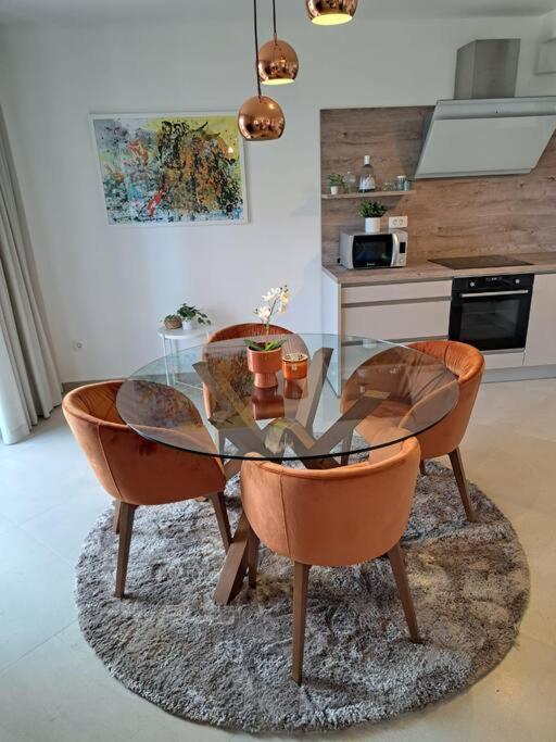 Grand Apartment *